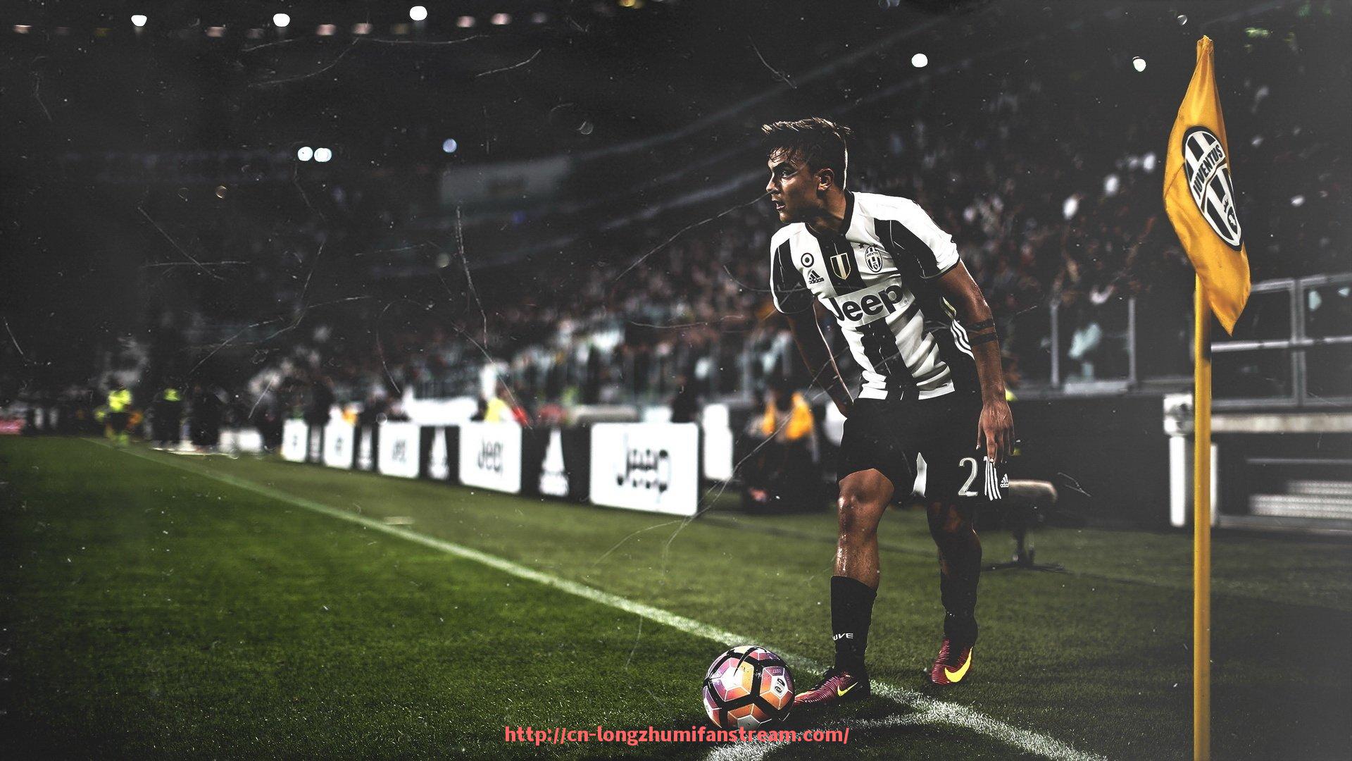 龙珠直播-聊城室内健身器材厂家与批发商信息